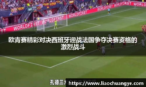 DG视讯