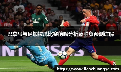 DG视讯官方网站