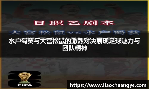 DG视讯官网