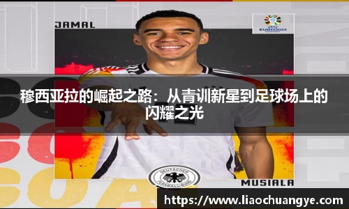 DG视讯平台