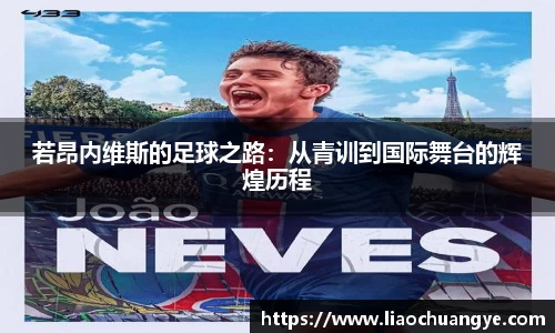 DG视讯