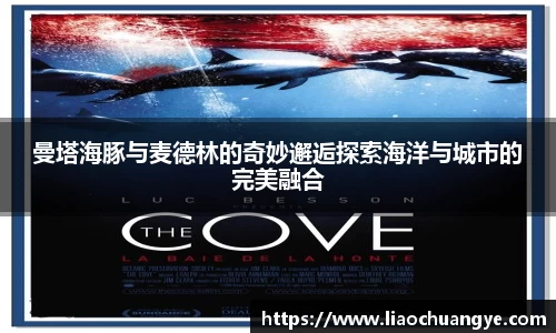 曼塔海豚与麦德林的奇妙邂逅探索海洋与城市的完美融合